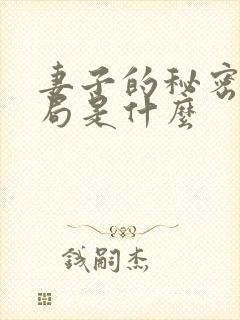妻子的秘密大结局是什么