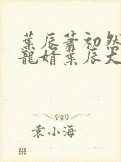 叶辰萧初然上门龙婿叶辰大结局