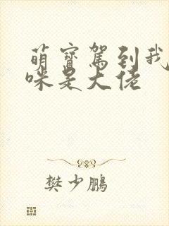 萌宝驾到我的妈咪是大佬