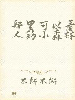 哪里可以看两个人的小森林全集