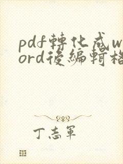 pdf转化成word后编辑格式不好调