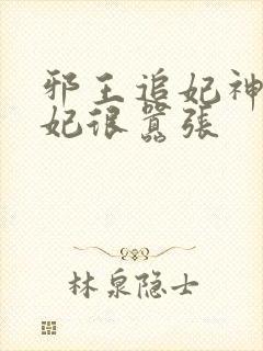 邪王追妃神医狂妃很嚣张