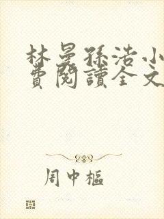 林曼孙浩小说免费阅读全文最新章节