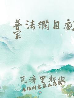 普法栏目剧 回家