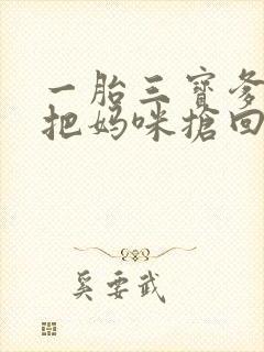 一胎三宝爹地快把妈咪抢回来全文免费阅读