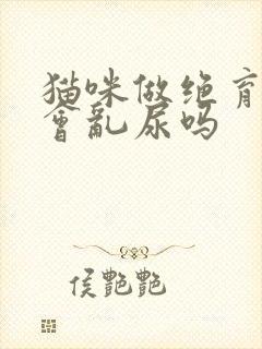 猫咪做绝育后还会乱尿吗