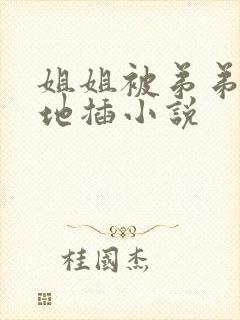 姐姐被弟弟狠狠地插小说