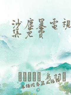 沙尘暴电视剧全集免费