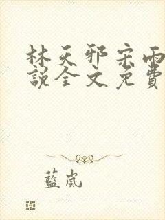 林天邪宋雨嫣小说全文免费阅读