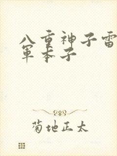 八重神子雷电将军本子