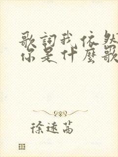 歌词我依然在等你是什么歌