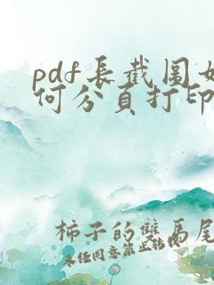 pdf长截图如何分页打印