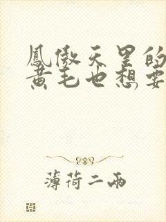 凤傲天里的反派黄毛也想要幸福