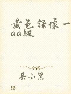 黄色录像一级aaa级