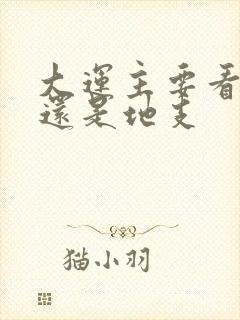 大运主要看天干还是地支