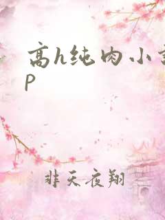 高h纯肉小说np