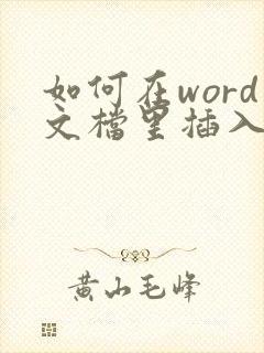 如何在word文档里插入pdf文件