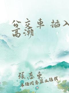 公交车 插入 高潮