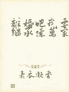 离婚吧我要回家继承亿万家产大结局