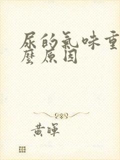 尿的气味重是什么原因
