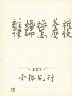离婚抚养权诉讼律师怎么收费