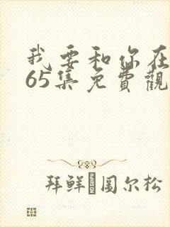 我要和你在一起65集免费观看