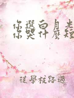 你选白月光我走你哭什么短剧免费观看