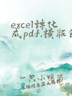excel转化成pdf,横版的怎么弄啊