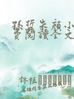 孙哲朱颜小说免费阅读全文最新章节