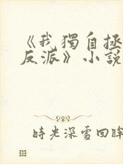 《我独自拯救女反派》小说