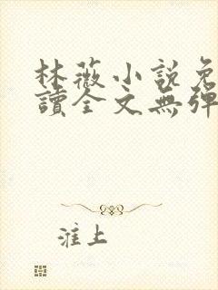 林薇小说免费阅读全文无弹窗