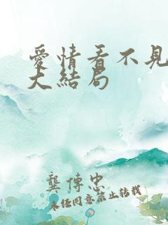 爱情看不见短剧大结局