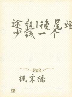 途观l后尾灯多少钱一个