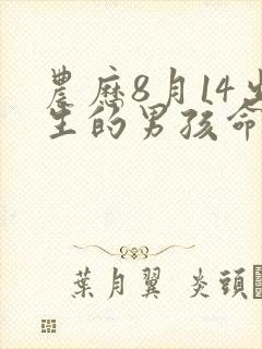 农历8月14出生的男孩命运