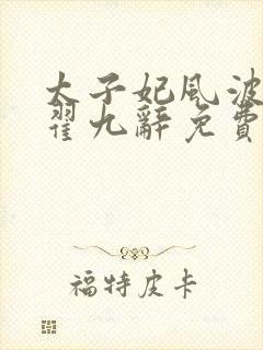 太子妃风波by翟九辞免费阅读