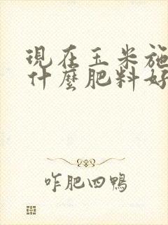 现在玉米施肥用什么肥料好