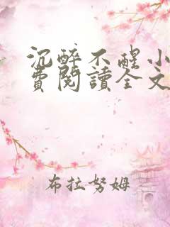沉醉不醒小说免费阅读全文无弹窗
