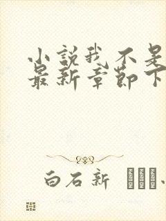 小说我不是戏神最新章节下载