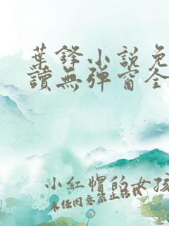 叶锋小说免费阅读无弹窗全文