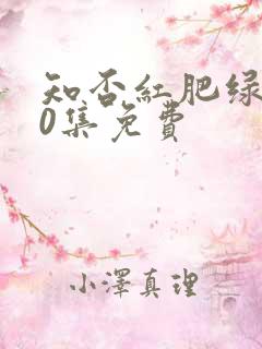 知否红肥绿瘦70集免费