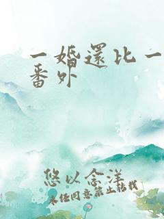 一婚还比一婚高番外