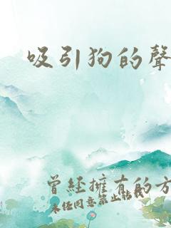 吸引狗的声音