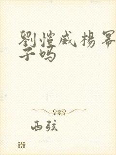 刘恺威杨幂有孩子吗