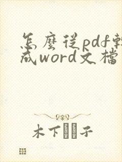 怎么从pdf转成word文档
