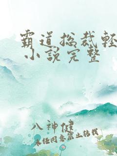 霸道总裁轻轻爱 小说完整