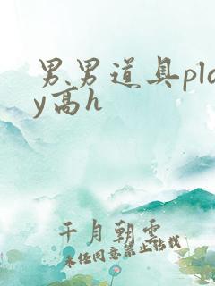 男男道具play高h