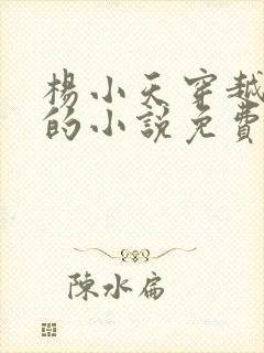 杨小天穿越武魂的小说免费阅读无弹窗