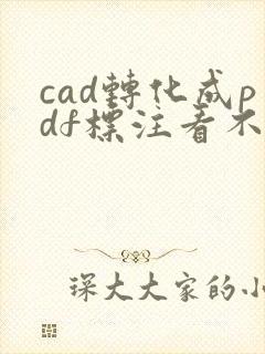 cad转化成pdf标注看不清怎么办