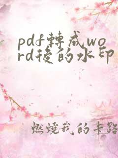 pdf转成word后的水印怎么去掉