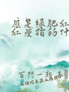 应是绿肥红瘦的红瘦指的什么花